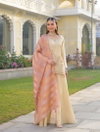 Misha Savri By Afsana Viscose Shimmer Surat Readymade Suits Wholesale Market